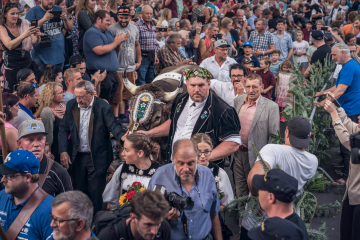 Stucki Chrigu mit Siegermuni Kolin geniessen das Bad in der Menge